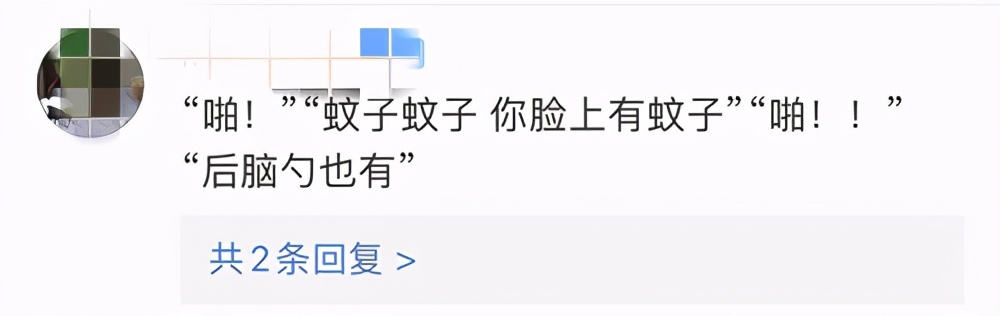 日本死亡日记本,日本死蚊子印章