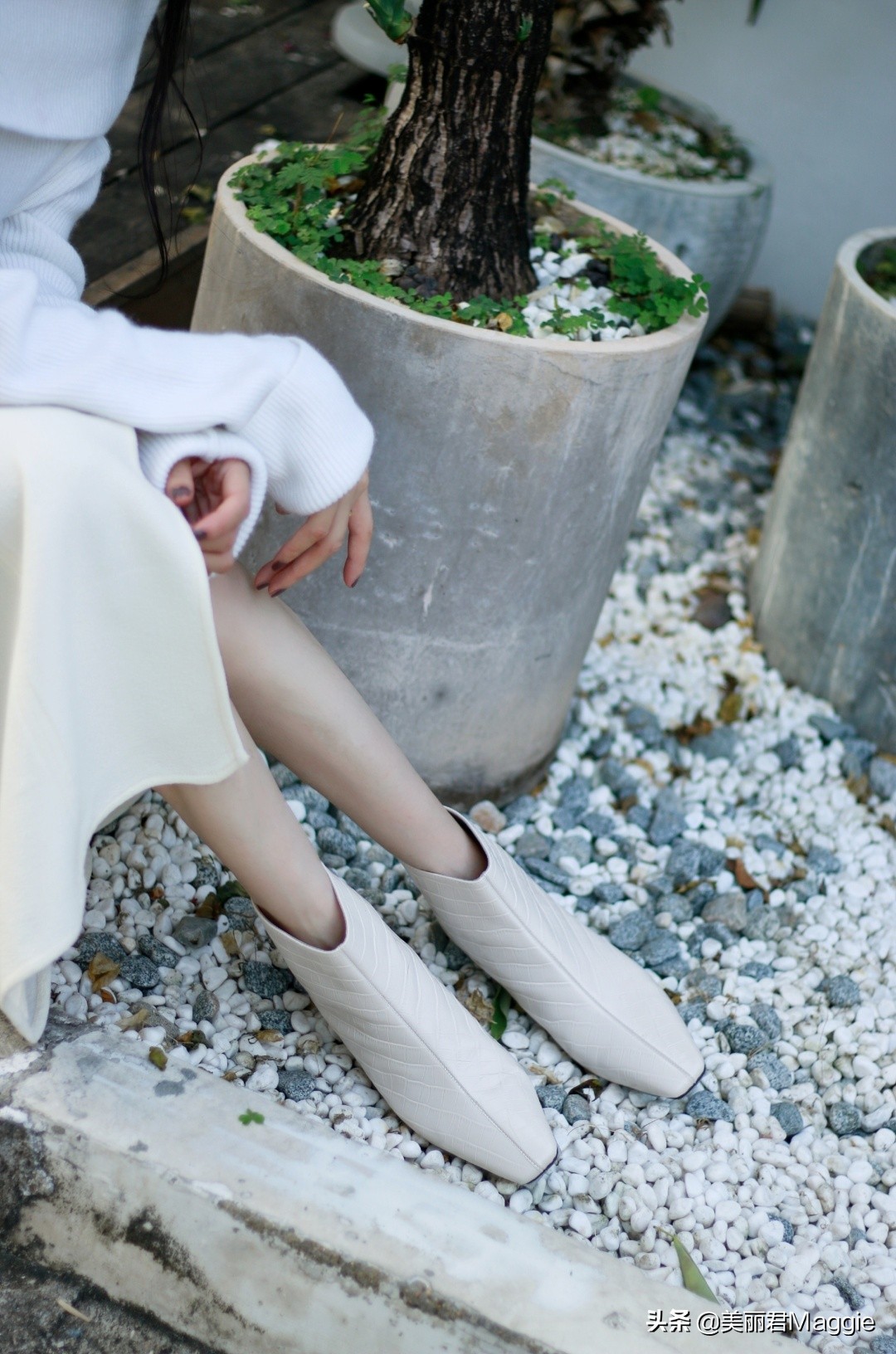 maggie美丽物语,maggie的美丽物语