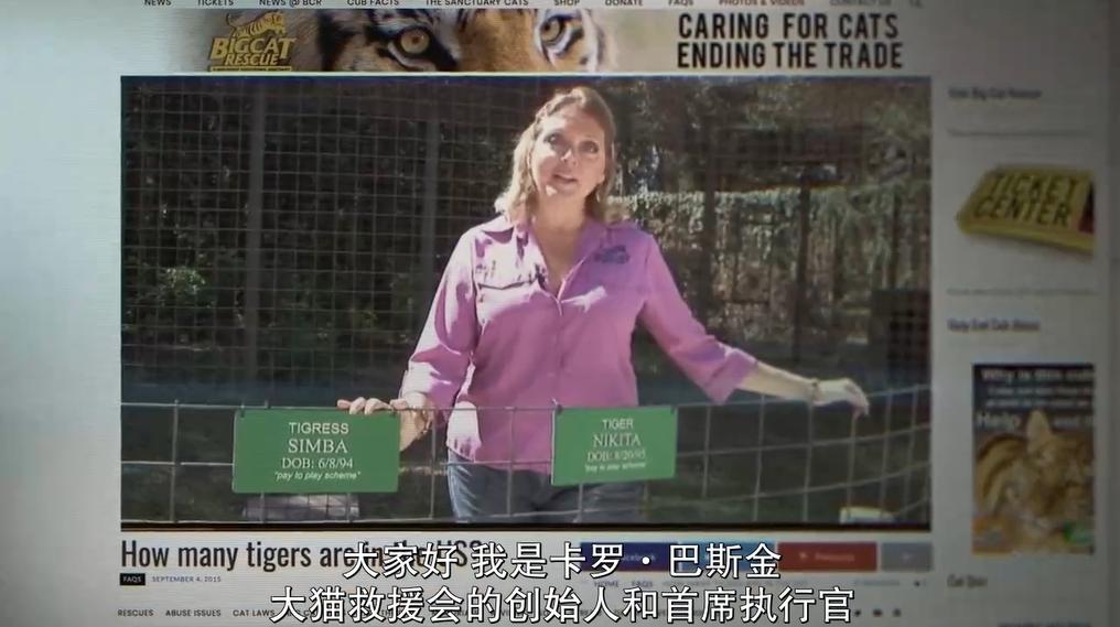 一夫多妻、*教邪***脑洗**、富豪失踪,你敢跟我说是真人真事?