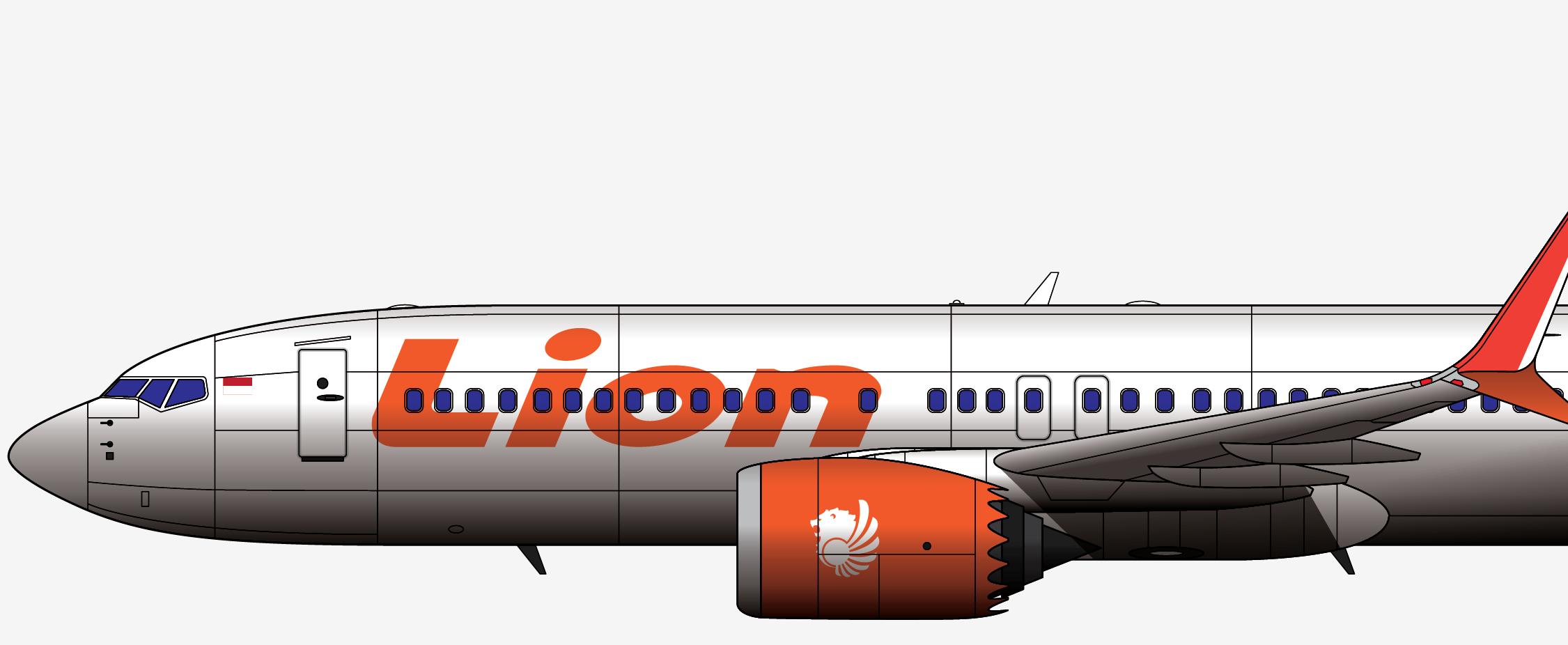 737max8狮子,737max8客机视频