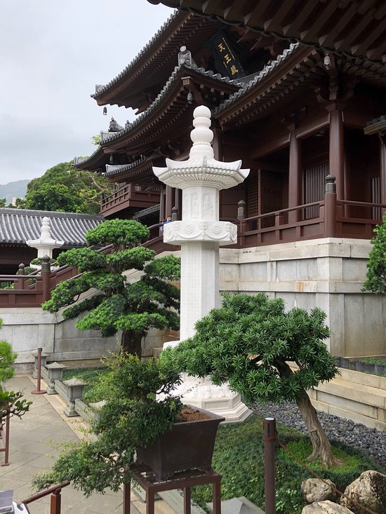 香港志莲净苑地图,香港志莲净苑好玩吗