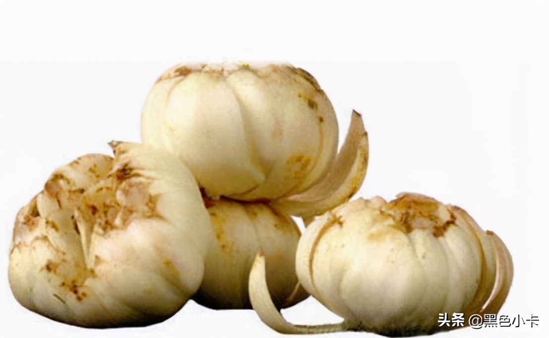 鲜百合怎么有苦味能吃吗,鲜百合可以怎样吃法