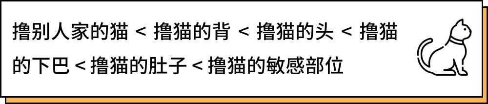 养猫的人到底有多有钱,北上广养猫的人