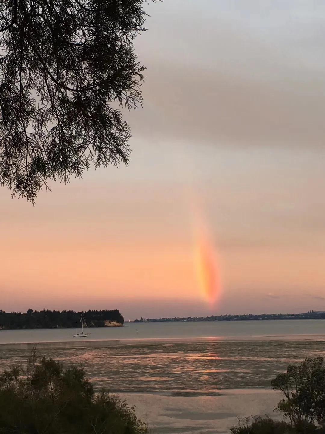 记忆中的旅行之新西兰(北岛)