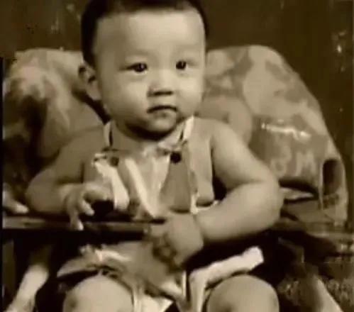 抛弃“最美琼女郎”,被陈道明提携,离婚9年又翻红:好狠一男的