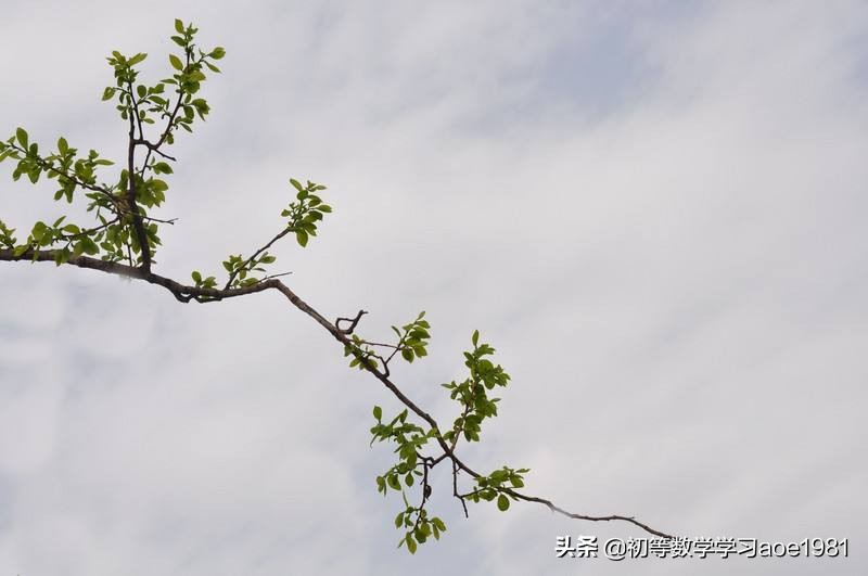 物不知数问题,物不知数问题解法