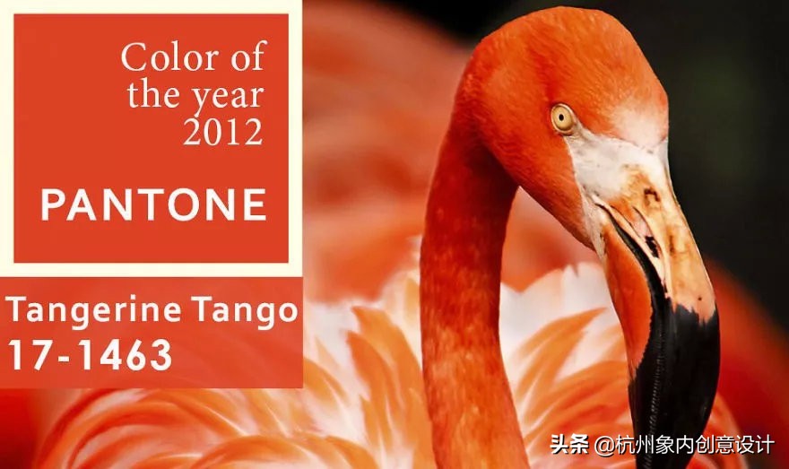 pantone2023流行色对冲色,2024pantone流行色色号