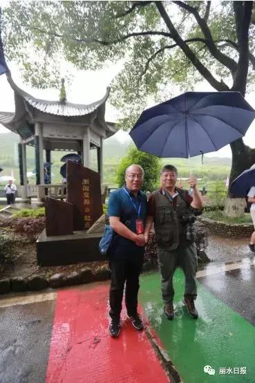 红色新丽水,红色浙西南央视