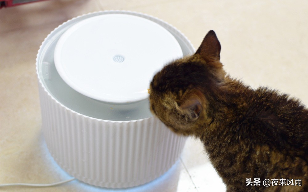 小米智能猫咪饮水机,小米猫咪恒温加热饮水机