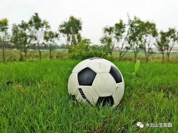 缇庝附涔℃潙鍏泭瓒崇悆,涔℃潙鍏泭瓒崇悆娲诲姩