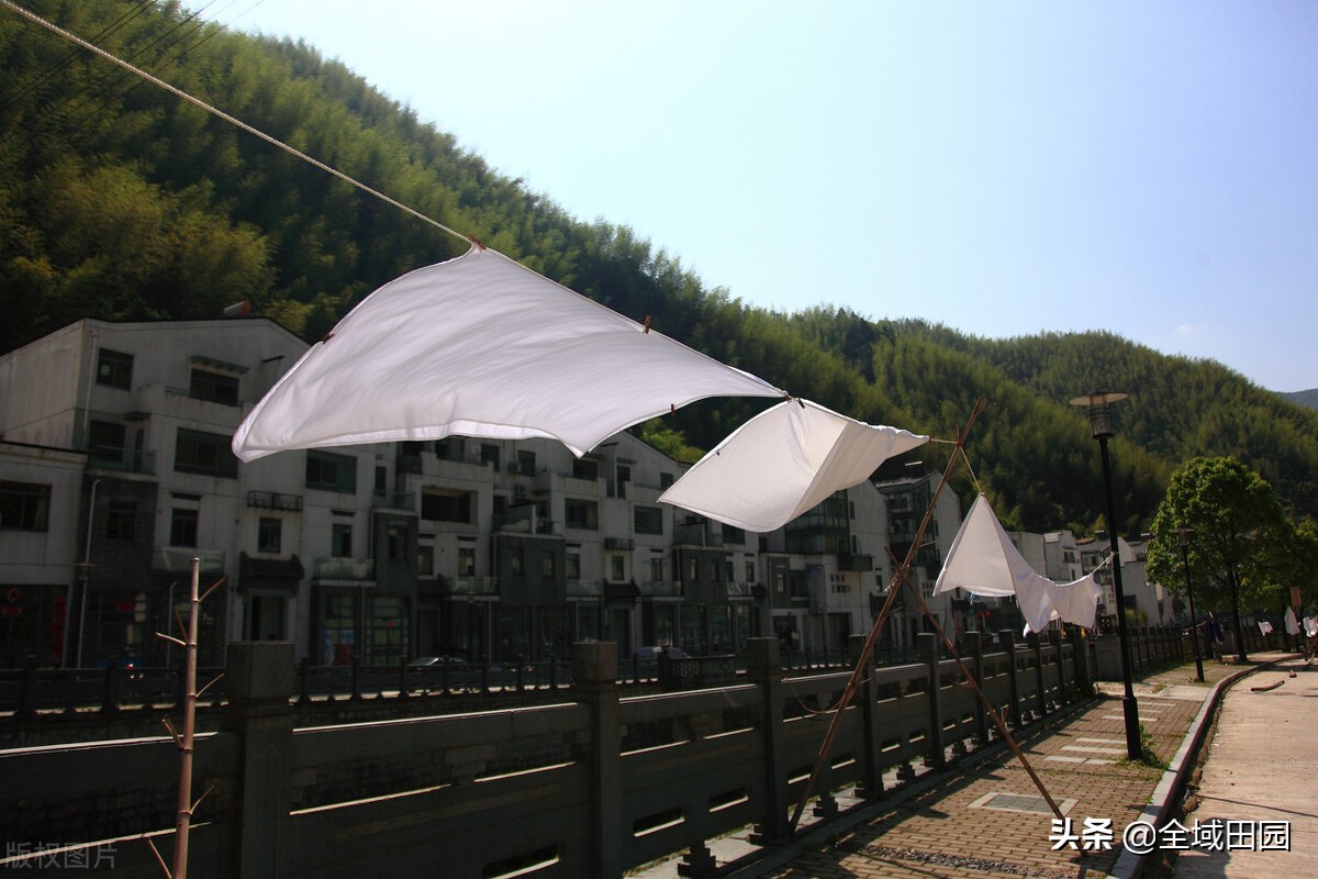 乡村民宿康养模式,民宿康养新思路