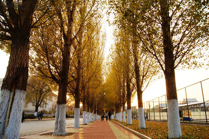 黑龙江最美大学排行榜,哈尔滨工程大学最美的校园