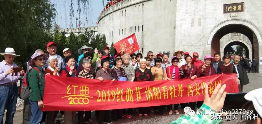 我的旅行社,厉害了我的旅游团