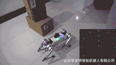 1万8元秋田犬出售,最新一代机器狗