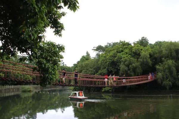 深圳免费公园哪里最好啊,深圳十大免费公园景点大全