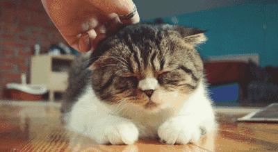 拯救不开心之类电影推荐,十部让人内心平静的电影