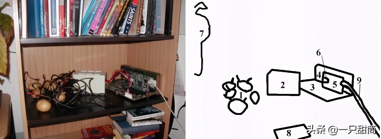 网易土豆服务器什么梗,网易土豆服务器是什么梗