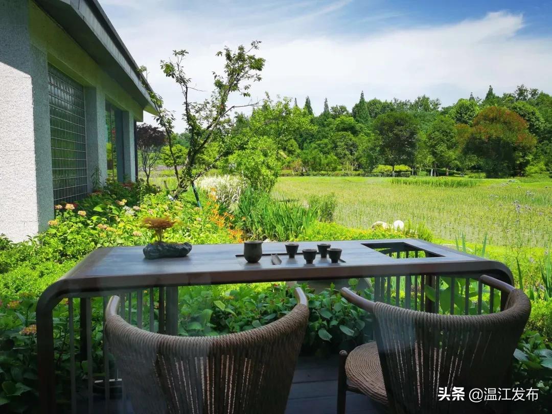 成都温江特色旅游,新旅游潮成都主题旅游目的地