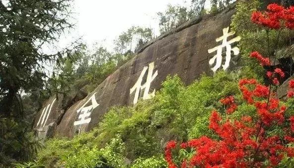 今天，我要夸夸我的通江