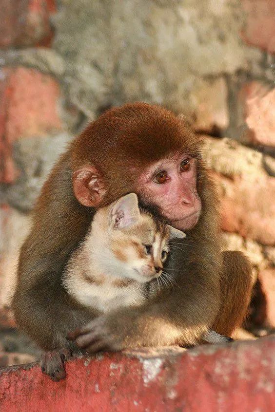 发现被别人偷拍照片,偷拍别人的照片是否违法