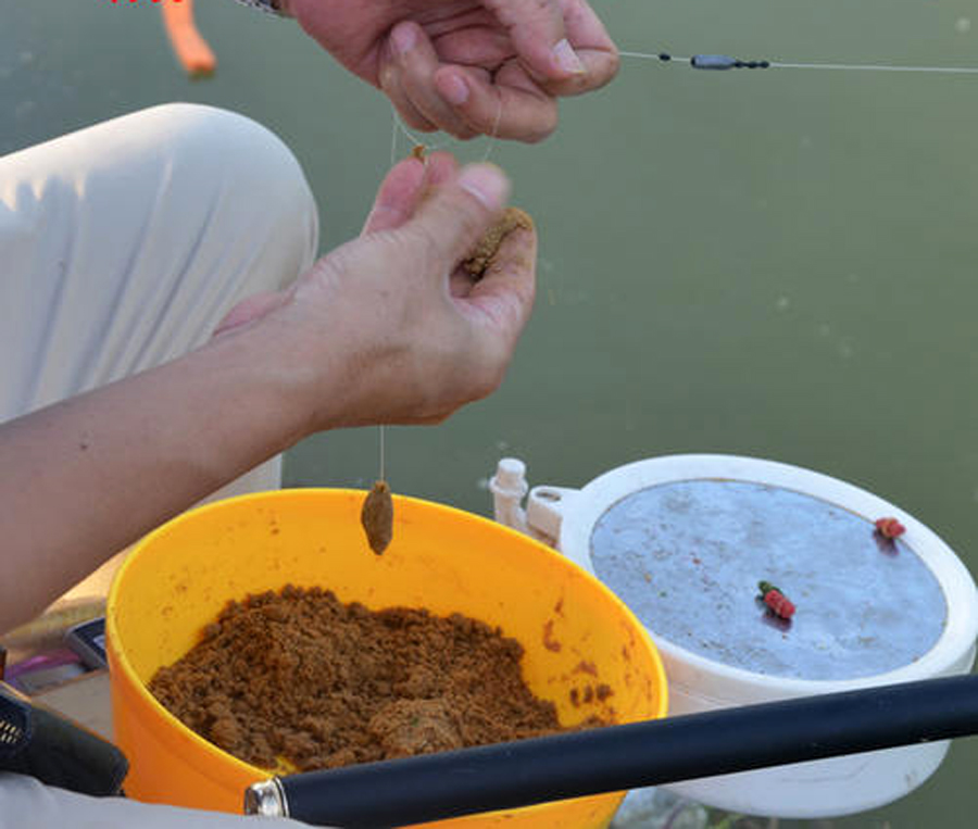 “小黄面”为什么风靡黑坑?它是一种怎样的钓饵,从四个方面探究