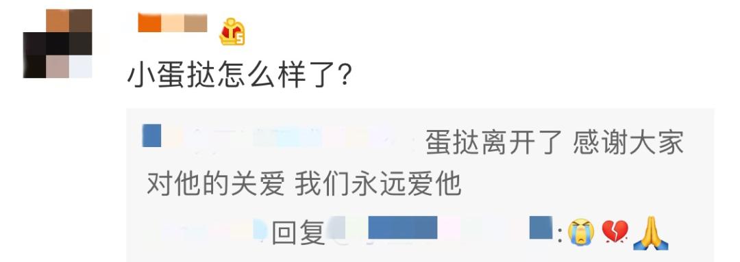 猫咪百合花粉中毒后怎么救,猫咪误食百合的症状