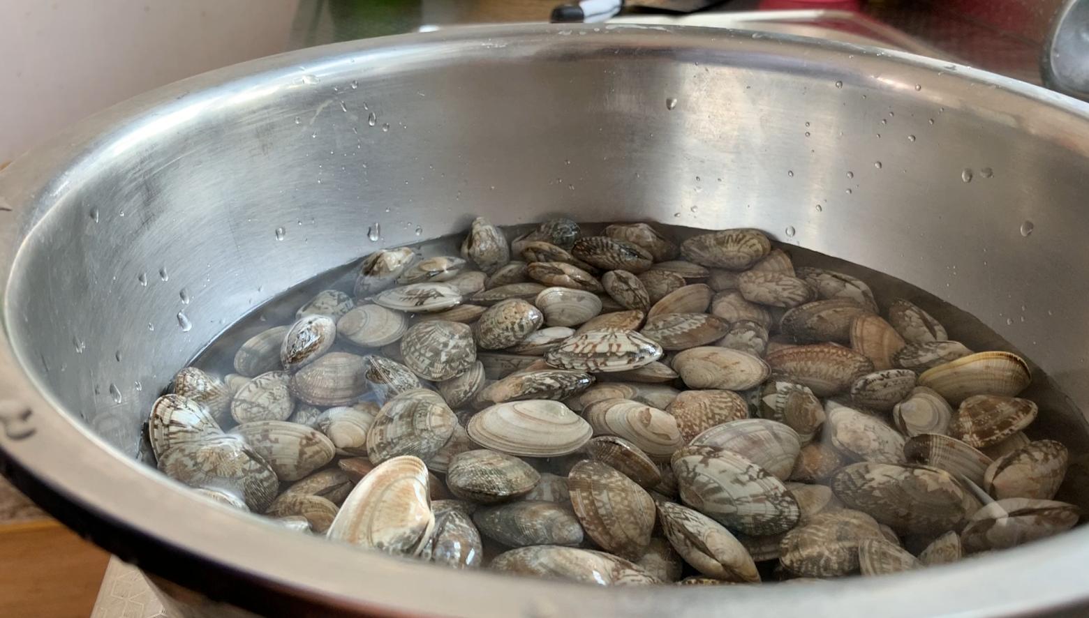 花蛤怎么洗才能把沙子全吐出来,快速让花蛤洗干净的方法