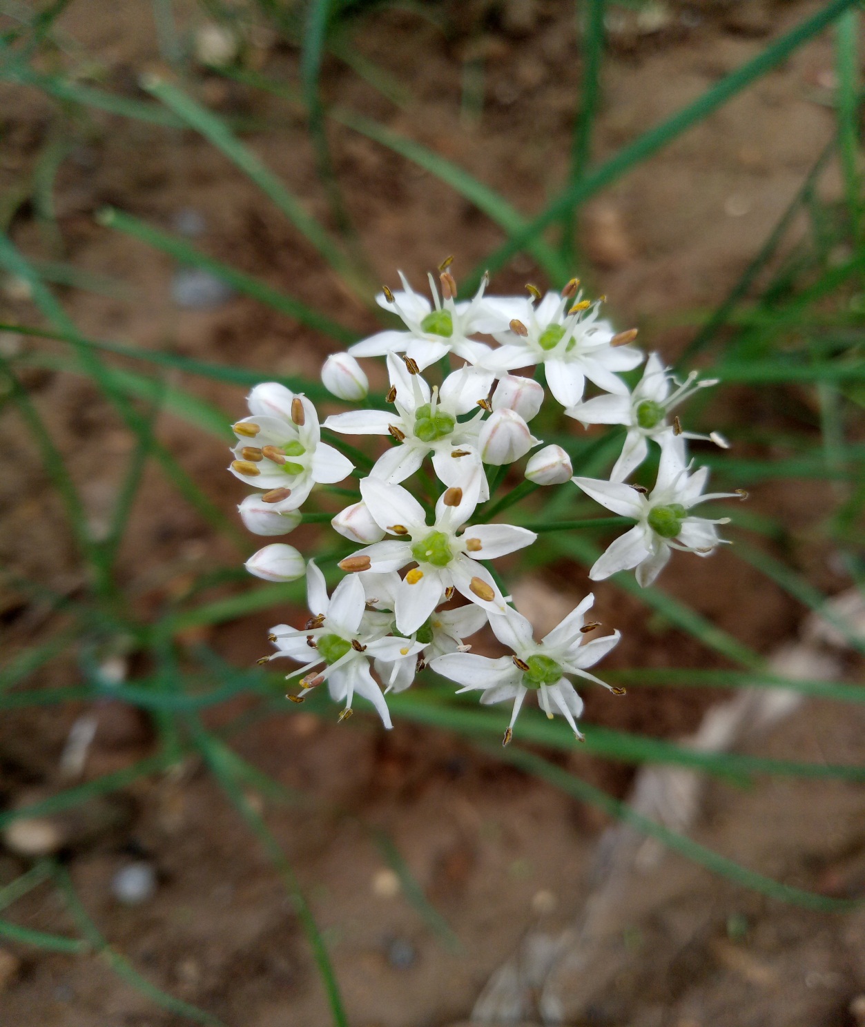 阅读感悟人生感言,阅读经典丰富人生的感受和收获