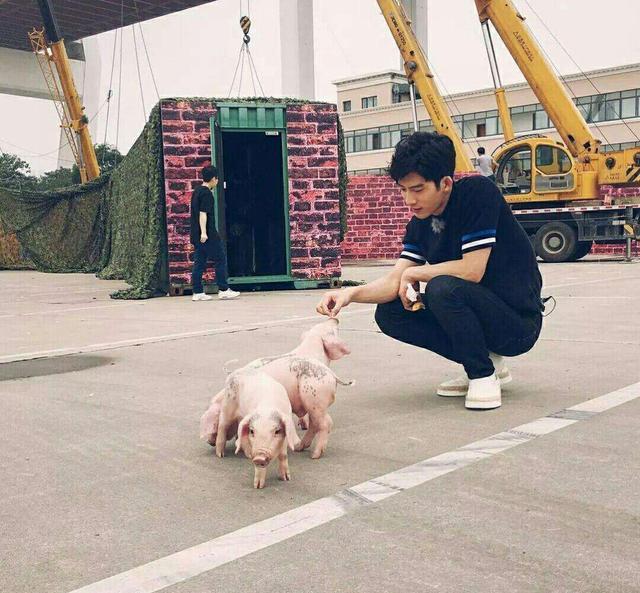 王源王俊凯易烊千玺唱波斯猫,ella谈千玺