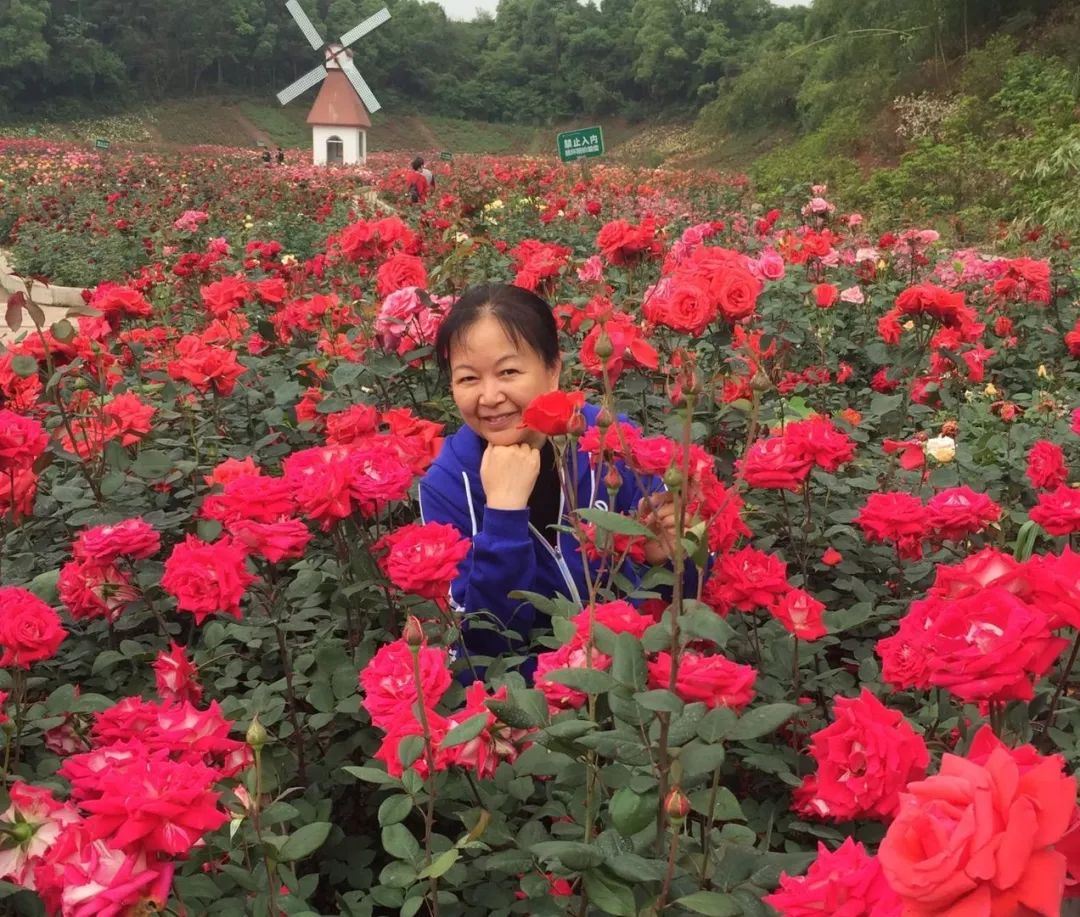 大妈旅游照专用动作,中国大妈外出旅游标准动作