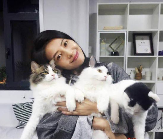 养猫对人体健康有什么好处,家里养猫究竟好处多还是坏处多