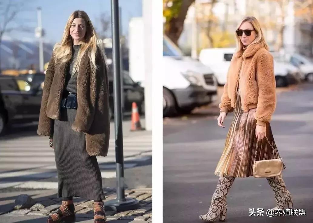 几千和几百的皮衣,一千块可以买什么档次的皮草