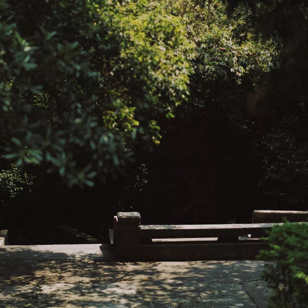 富士入门vlog相机,富士xa7拍摄vlog怎么设置