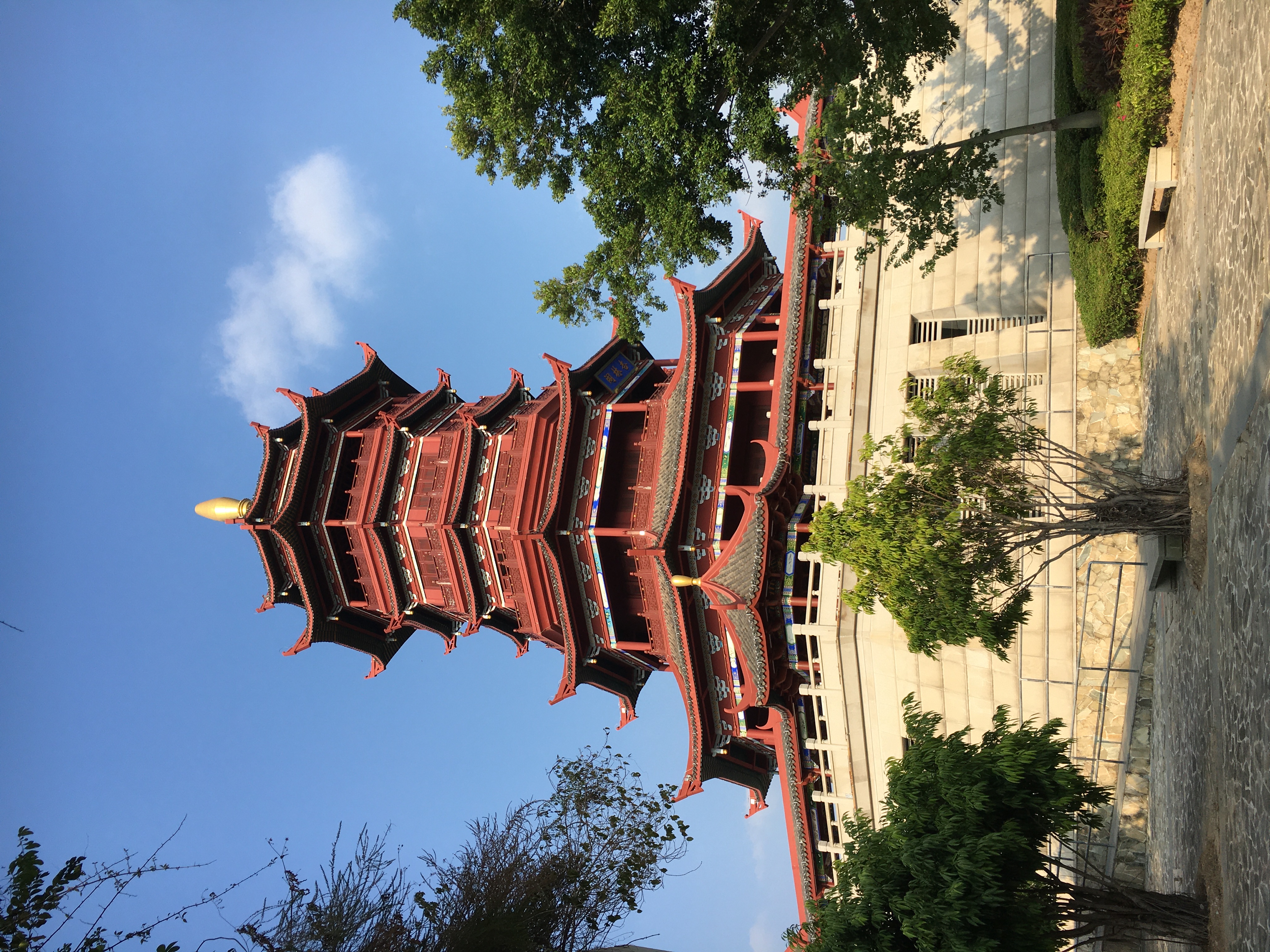 园博园旅行年卡 (旅游年卡 园博园)