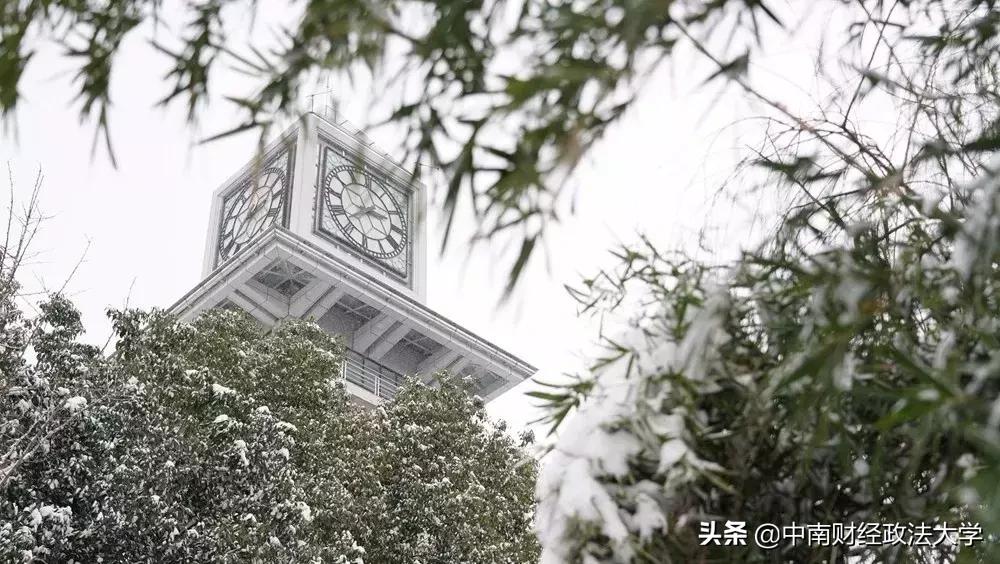 这个学校，就一个字，棒！