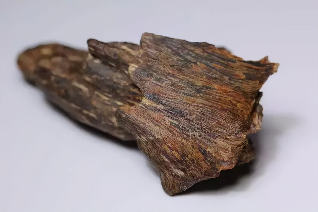 常见木材的种类简介及图片,常见木材的种类档次