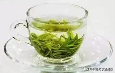 人参九宝茶的功效和禁忌,凤凰单枞茶的功效与禁忌