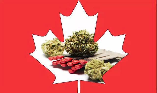 excuseme什么意思,excuseme英语片段