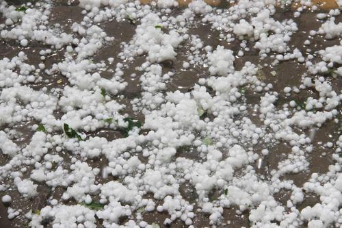 民间传说:金子山上的蛤蟆精（原创）——连载之五