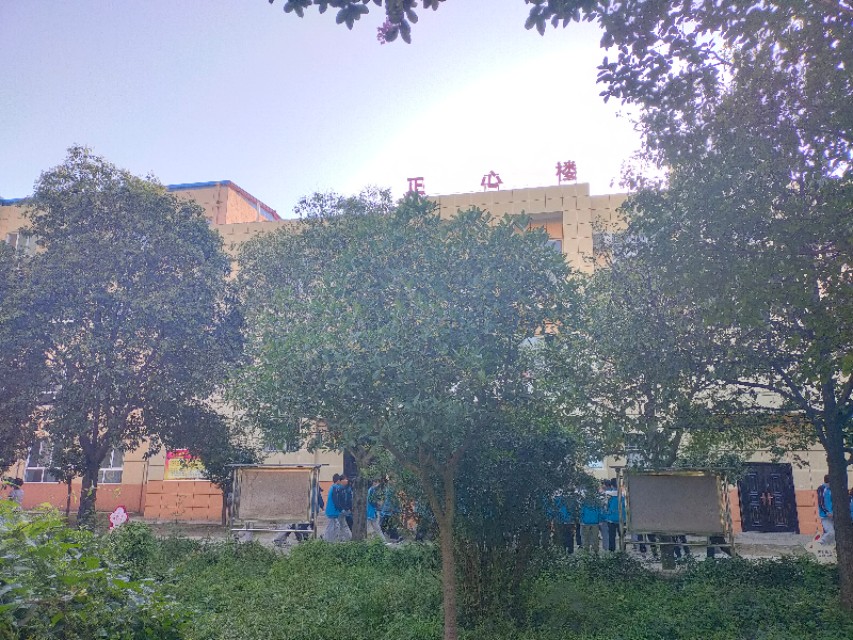 长杨中学官网,长杨中学