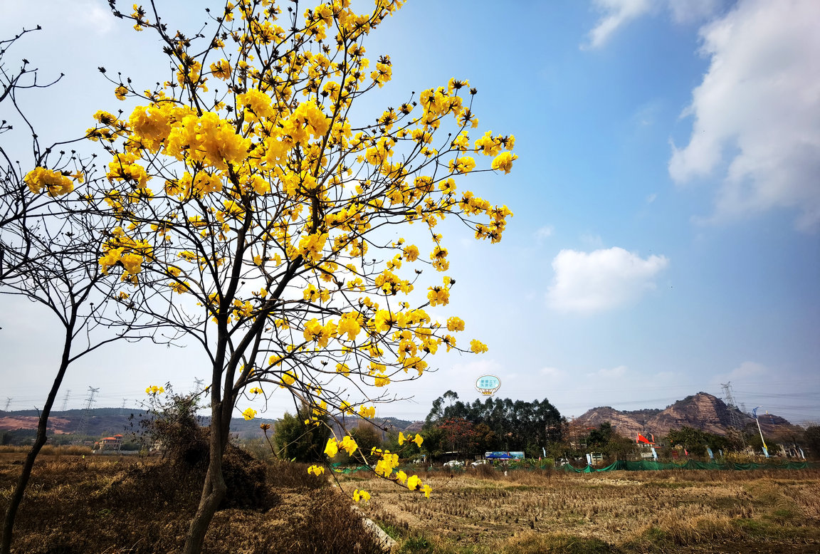清远乡间有座“城堡”：仿北京翰林院，用18年建造，充满了神秘感