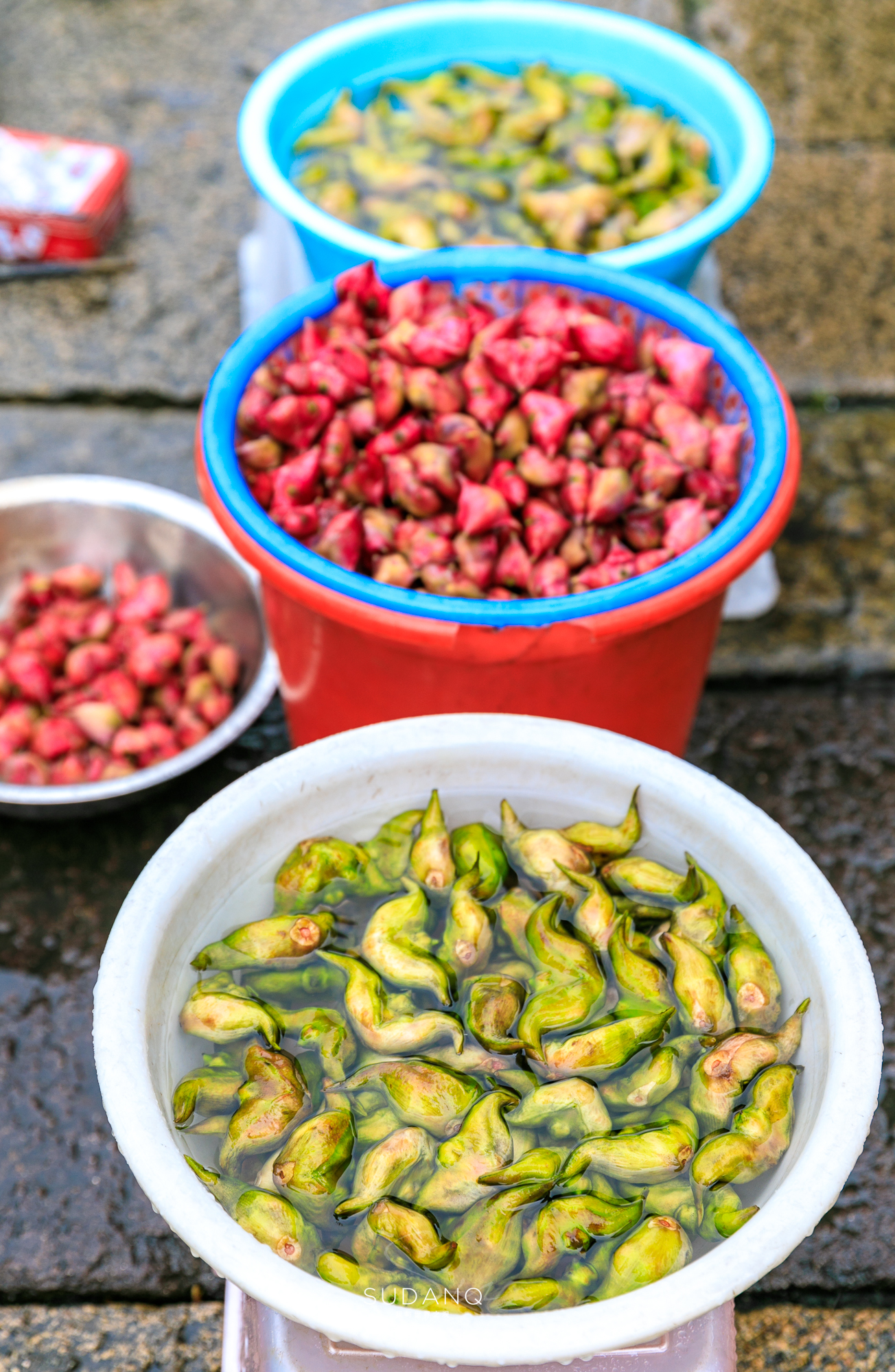 乌镇似水年华酒吧奶茶,乌镇似水年华下午茶