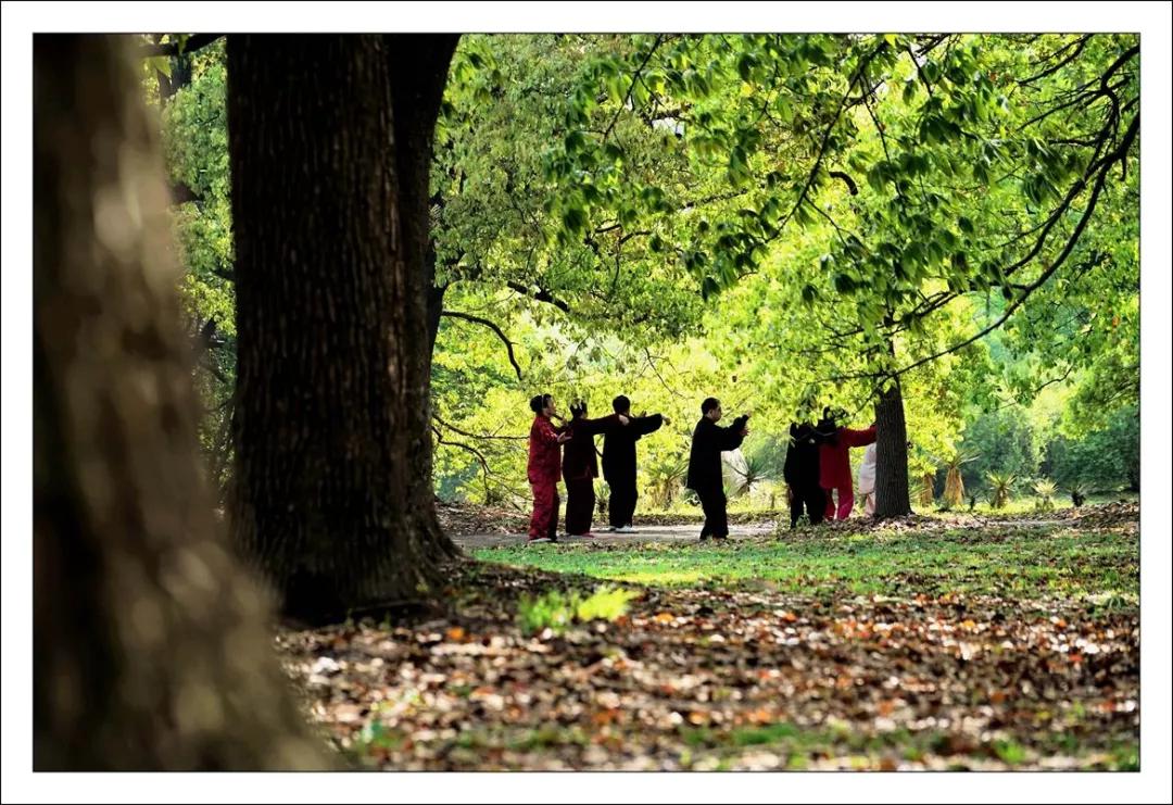 去滁州琅琊山旅游攻略,滁州白鹭岛一日游详细攻略