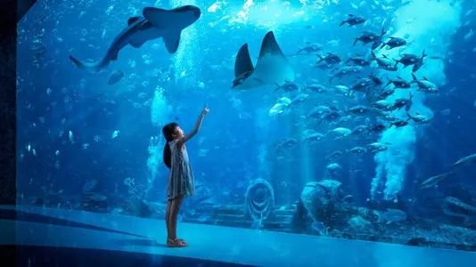 让你无法抗拒的海南，究竟好在哪里？