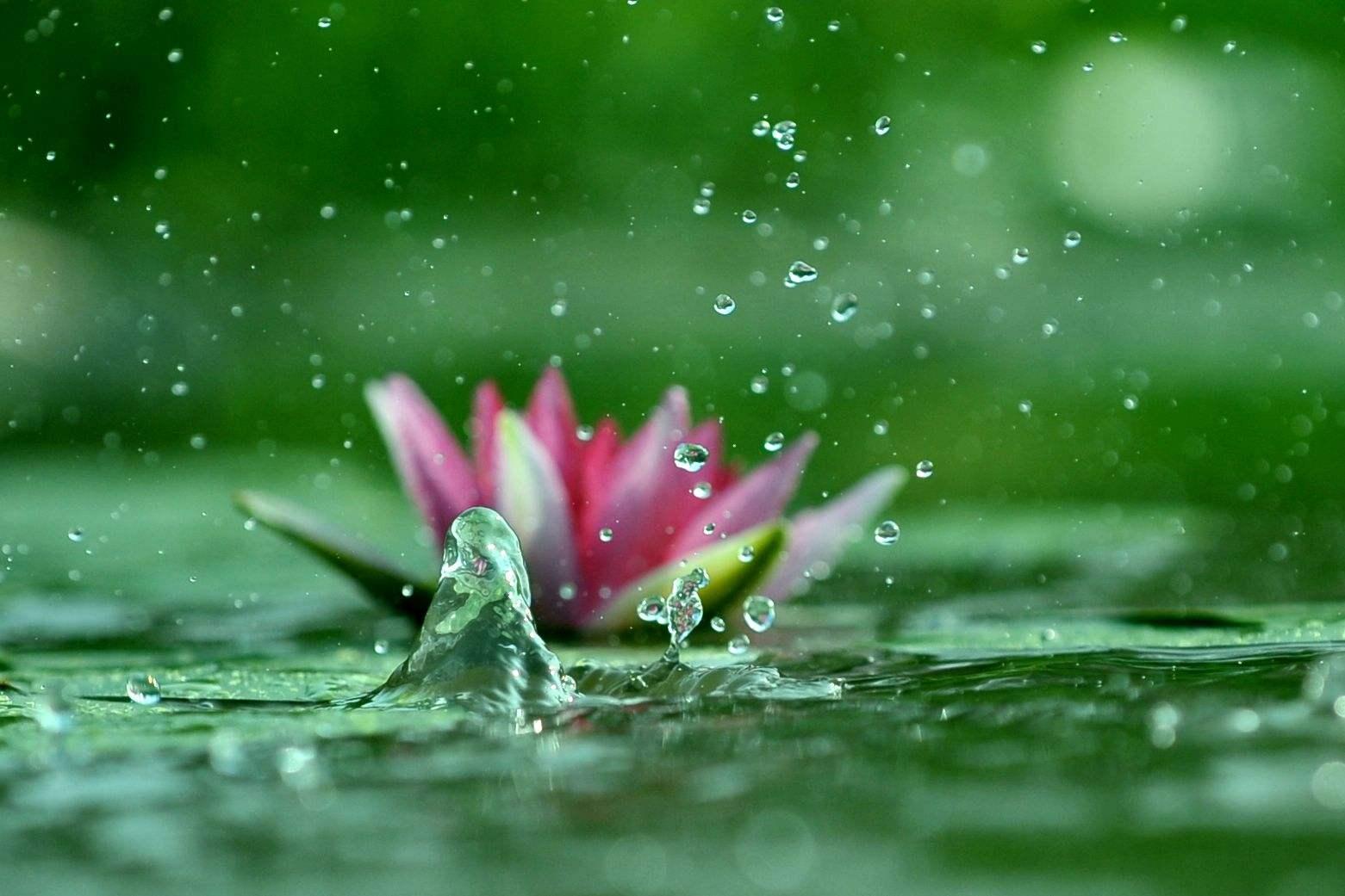 李商隐最浪漫的一句诗,李商隐最经典的爱情诗