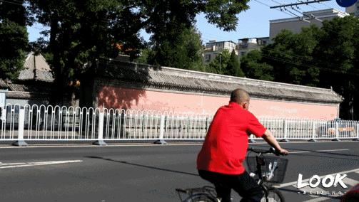 这就是牛完整视频,北京市牛街