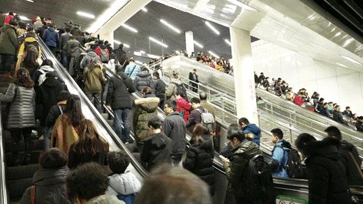 不想回上海了怎么办,不想在上海漂泊了想回合肥