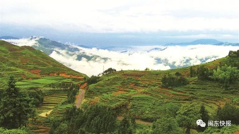 带动周边农户种植增收致富,带动农户增收