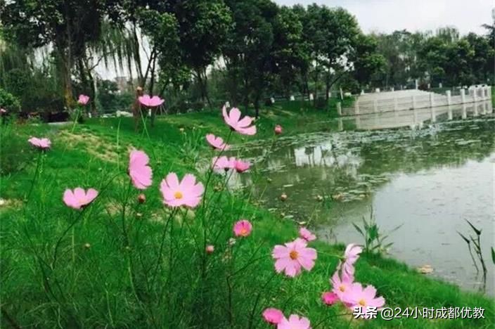 让孩子的生命后续发力稳而足，成都三原建校19年，筑梦想之路！