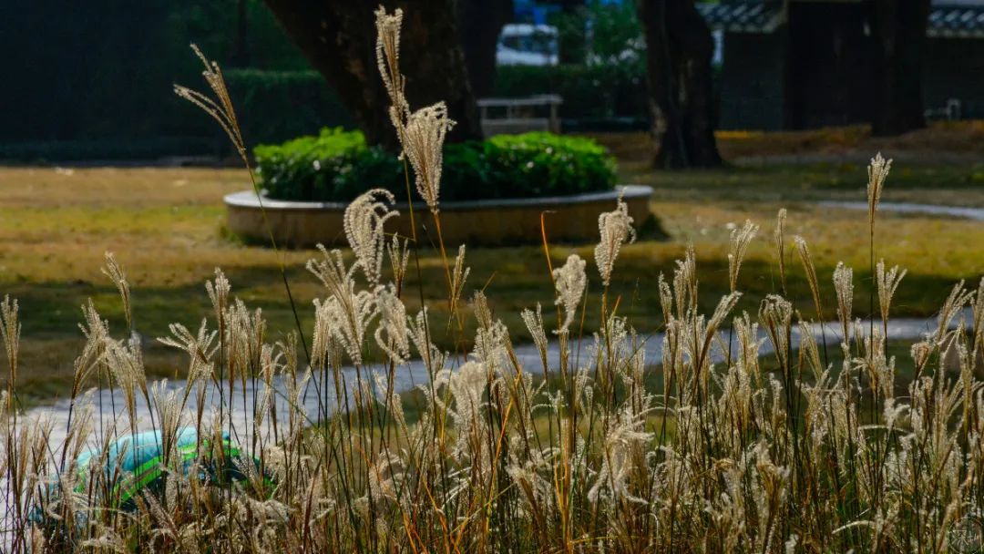 中山南头是中高风险地区吗,中山南头镇潜力大吗